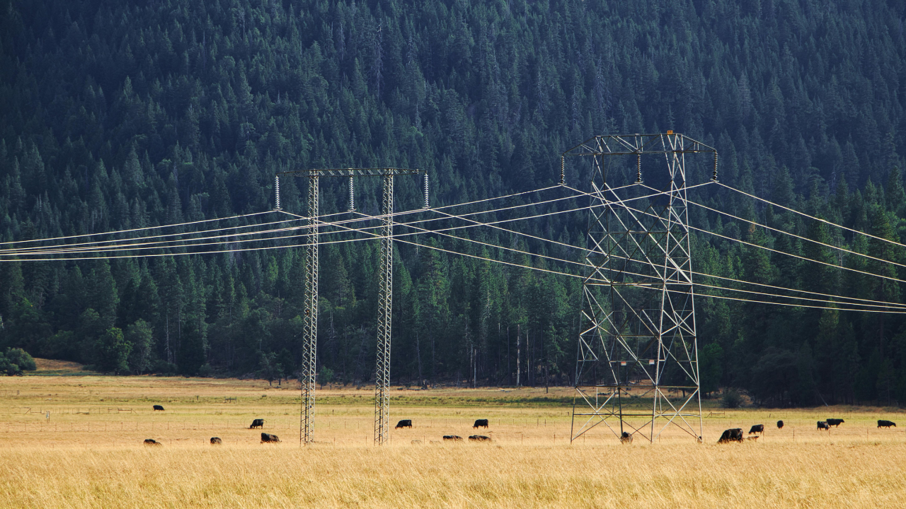 A Clear Breakdown of What an Electricity Broker Actually Does