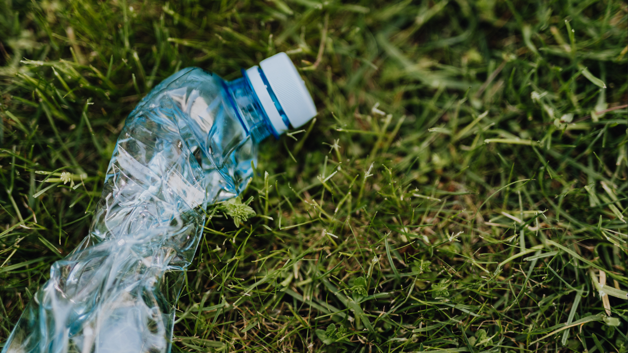 How to Dispose of Pharmaceutical Waste Safely?