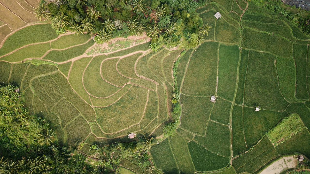 Everything You Need to Know Before Subdividing Land