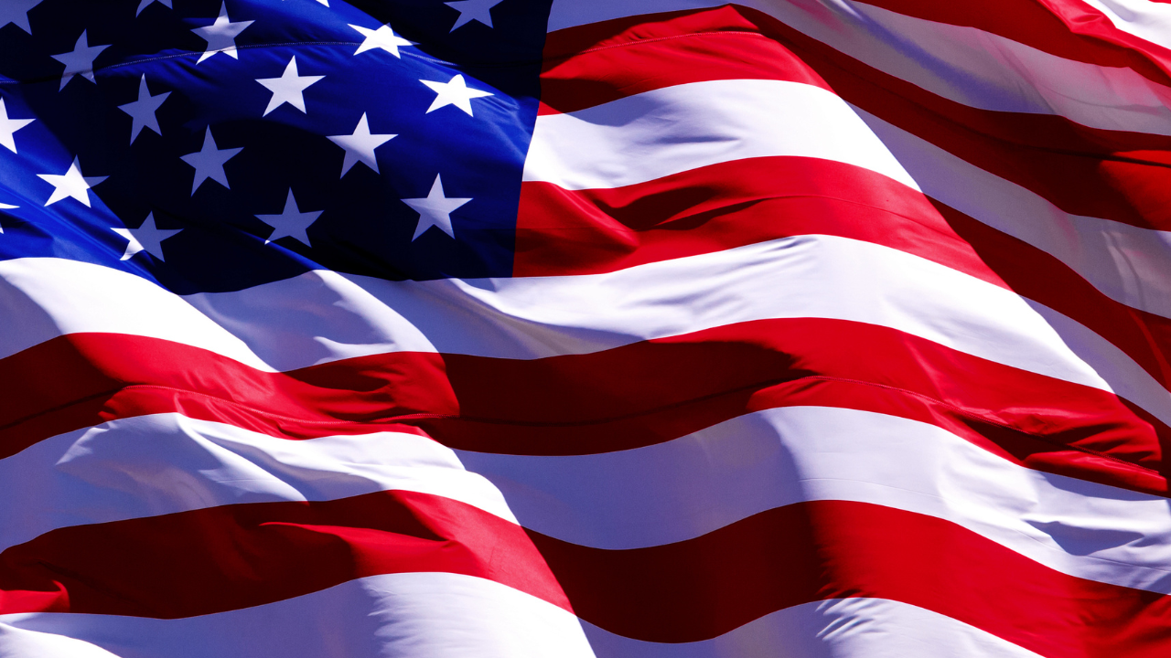 Zingyzon.com in USA – Expanding Global Influence in Digital Publishing