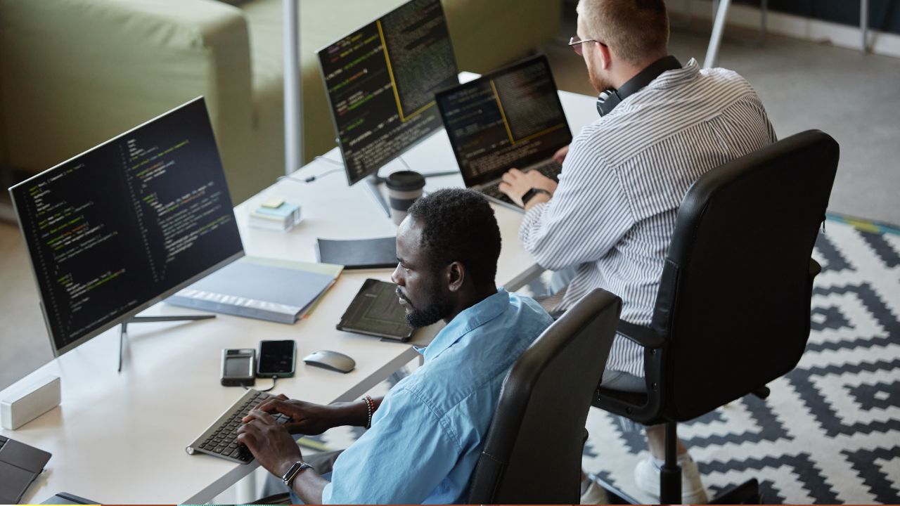 Entry Level Software Developer: Roles, Skills, and Career Path
