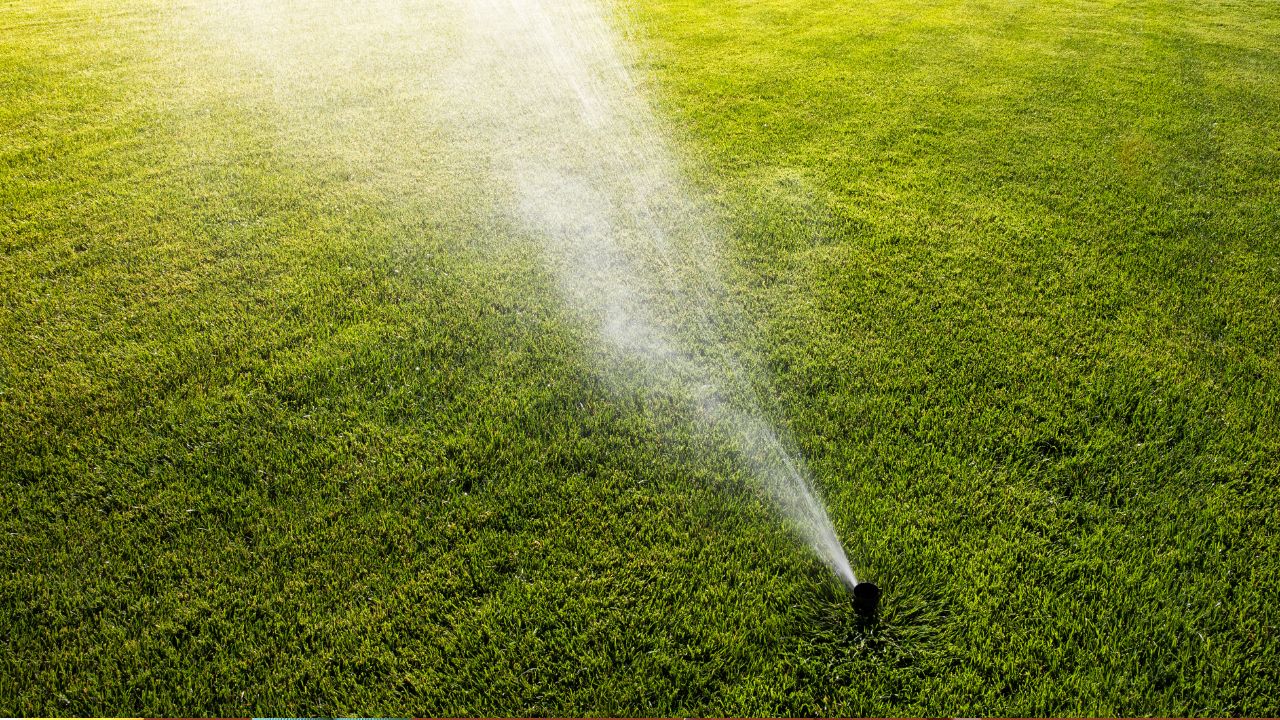 How to Adjust Rain Bird Sprinkler Heads for Optimal Lawn Watering
