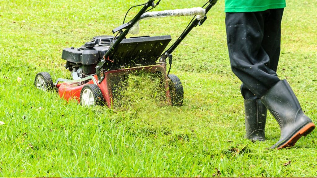 starting a mowing business